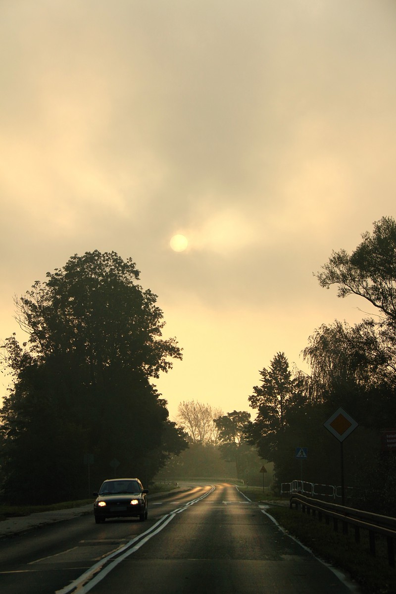 Mglisty poranek 6
Słowa kluczowe: mgła,żółty,słońce