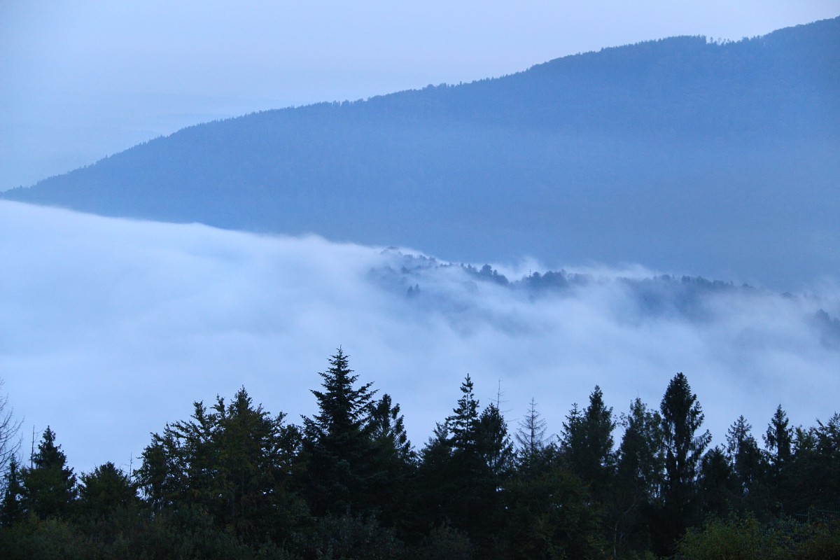 Nad chmurami 2
Góra Żar
Słowa kluczowe: mgła
