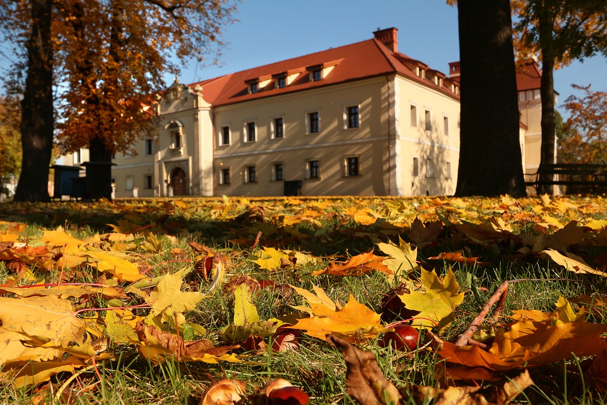 Zamek w Tarnowskich Górach
Słowa kluczowe: jesień,żółty