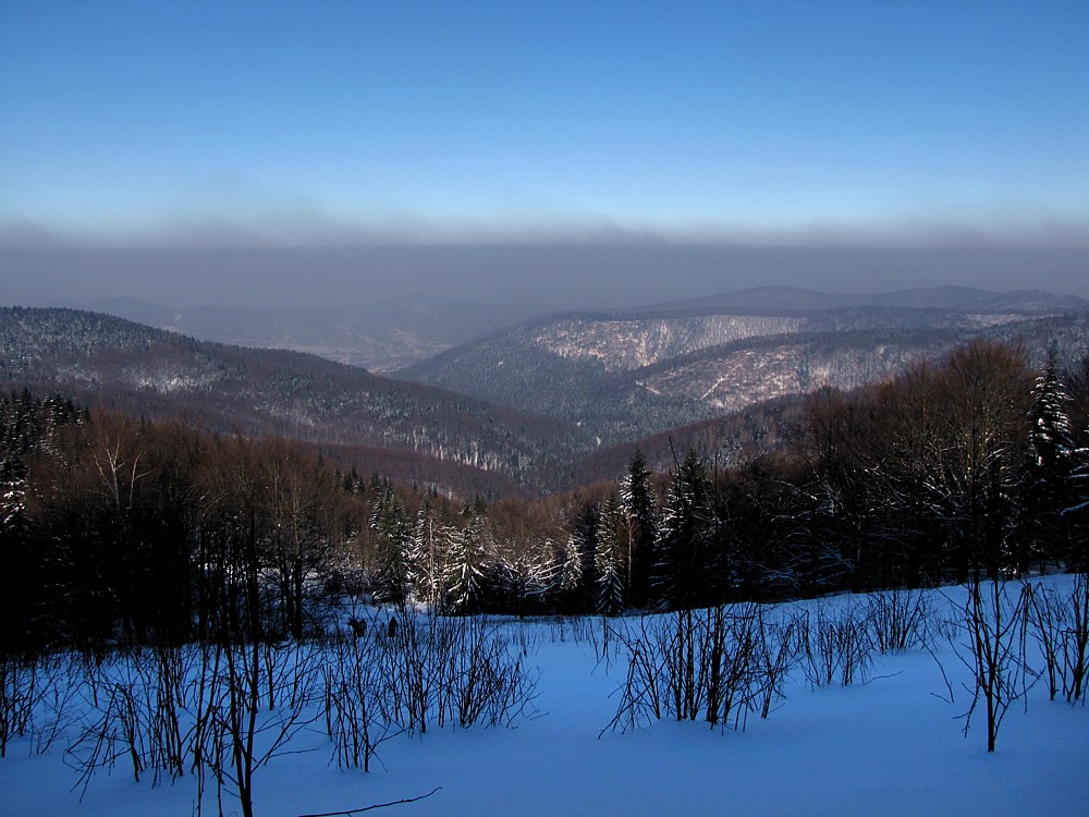 Smog nad Beskidem Małym
Beskidy 2012
Słowa kluczowe: zima,niebieski,góry