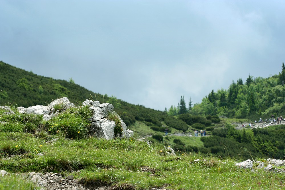 Przełęcz między Kopami
Tatry 2011
Słowa kluczowe: góry
