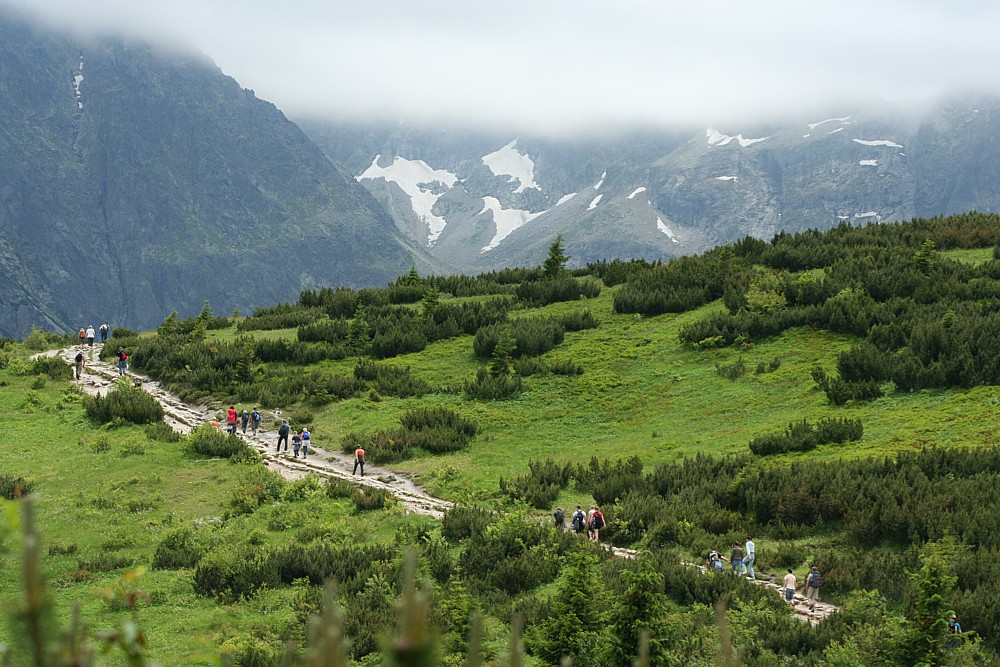 Podejście na Czarny Staw Gąsienicowy
Tatry 2011
Słowa kluczowe: góry