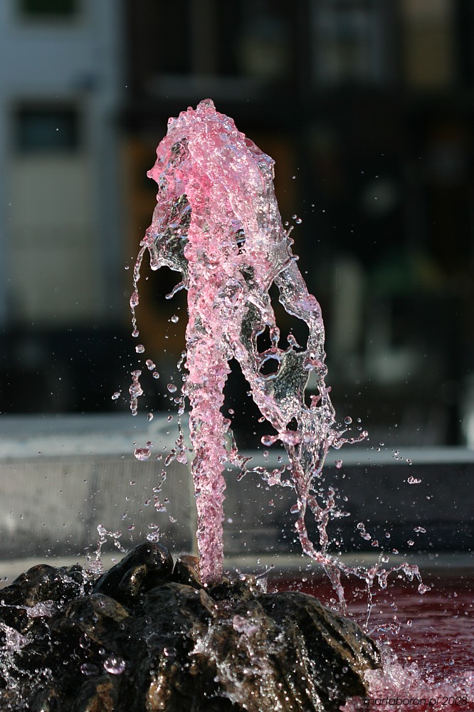Różowa fontanna
Amersfort, Holandia 2008
