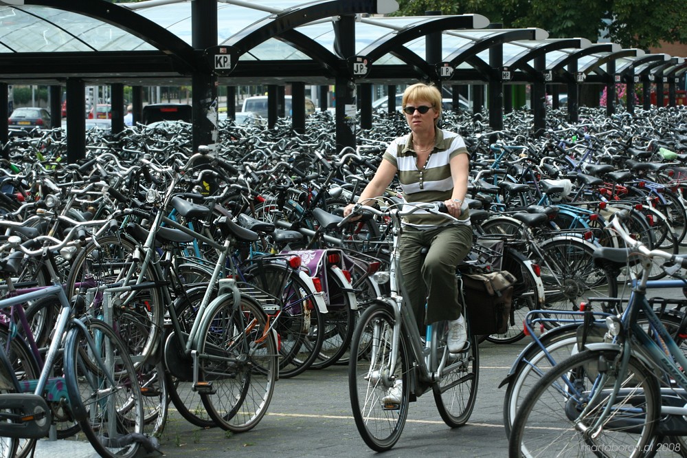 Rowery pod dworcem kolejowym
Rotterdam
Holandia 2008
Słowa kluczowe: rower