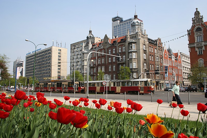 Katowice wiosennie
Słowa kluczowe: budynek,kwiat,czerwony