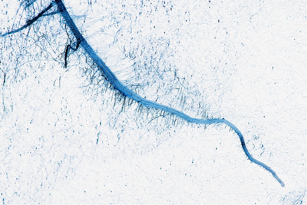 River from space
Słowa kluczowe: niebieski