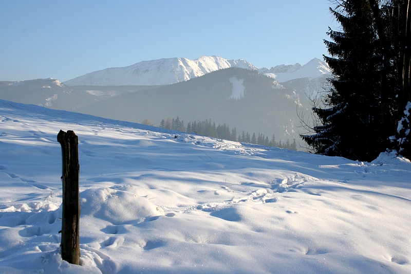 Tatry
Słowa kluczowe: góry,zima
