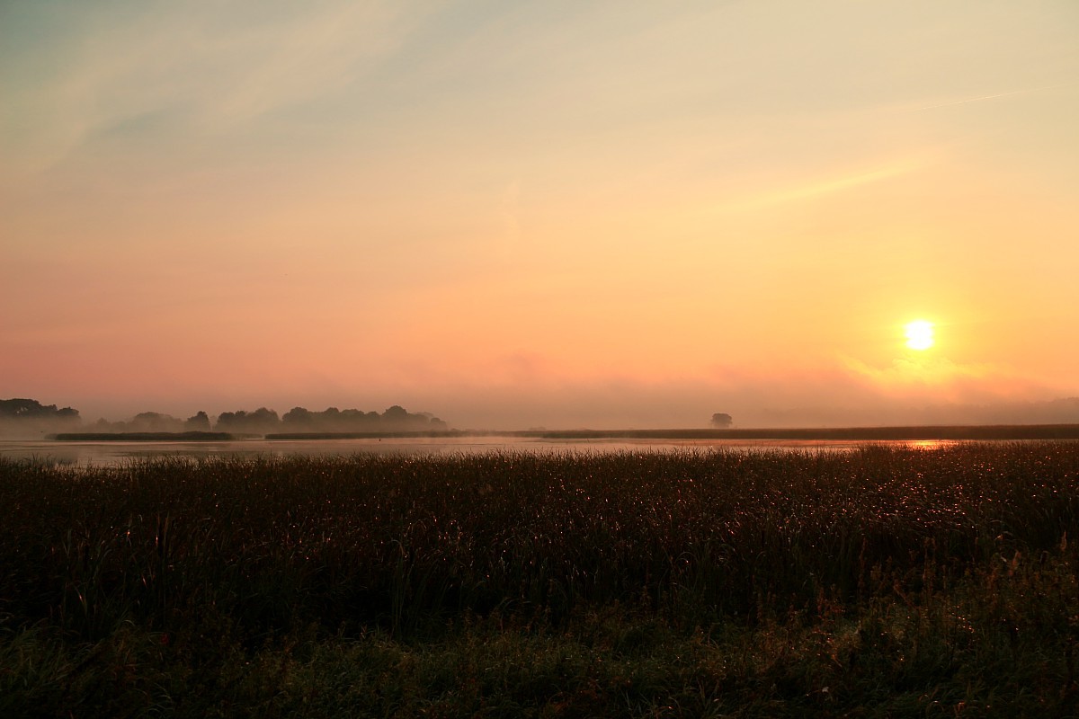 Mglisty wschód słońca 4
Słowa kluczowe: mgła,pomarańczowy,różowy,słońce