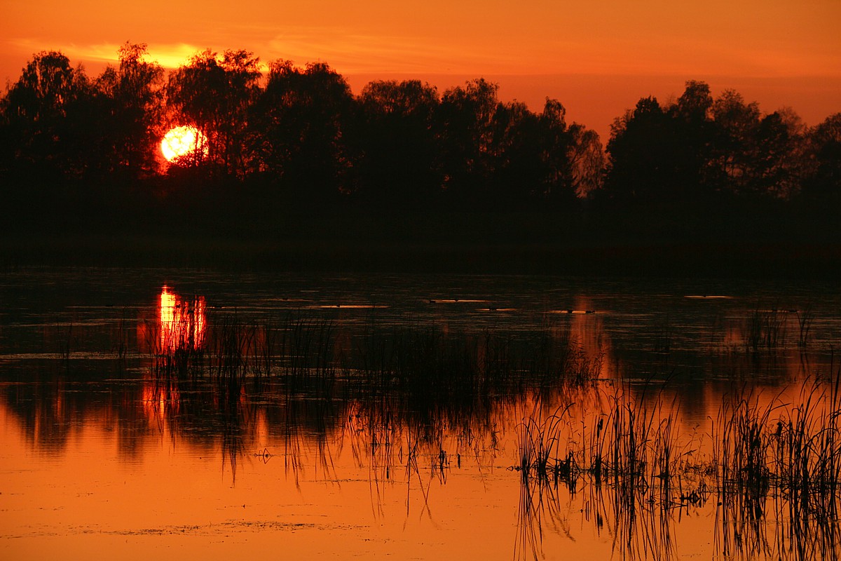 Zachód słońca nad wodą
Stawy na Zaborzu, Oświęcim, 2017
Słowa kluczowe: woda,słońce,pomarańczowy