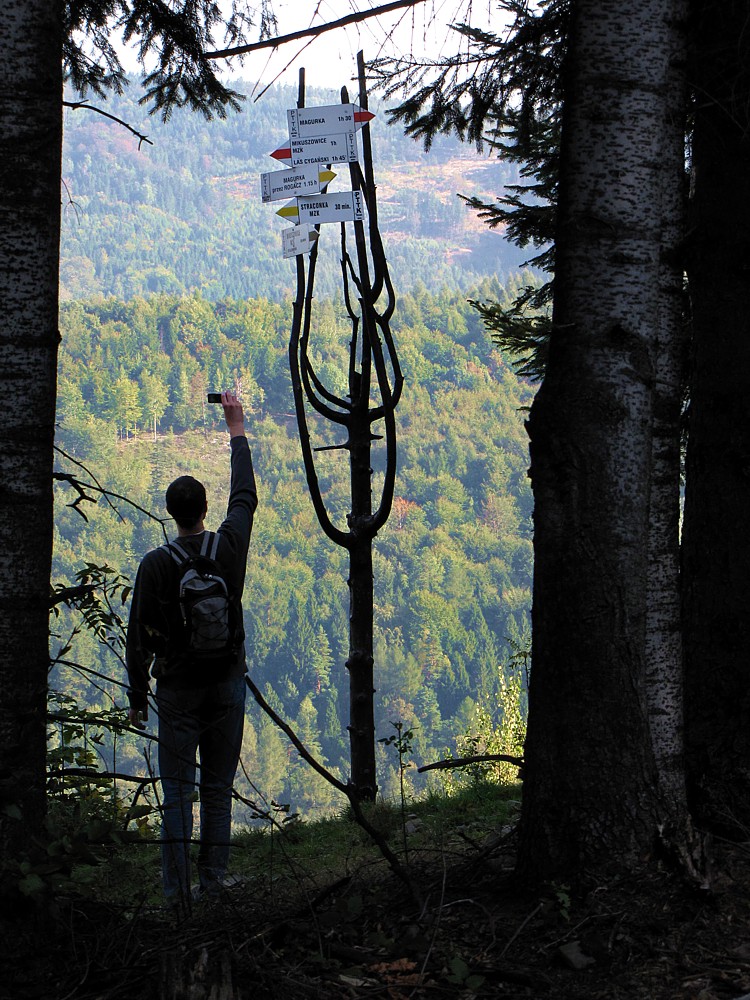 Podejście na Rogacz
Beskidy 2011
Słowa kluczowe: las,mężczyzna