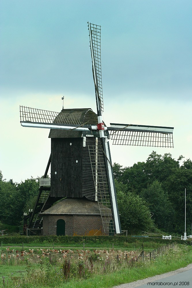 Holenderski wiatrak
Holandia 2008
