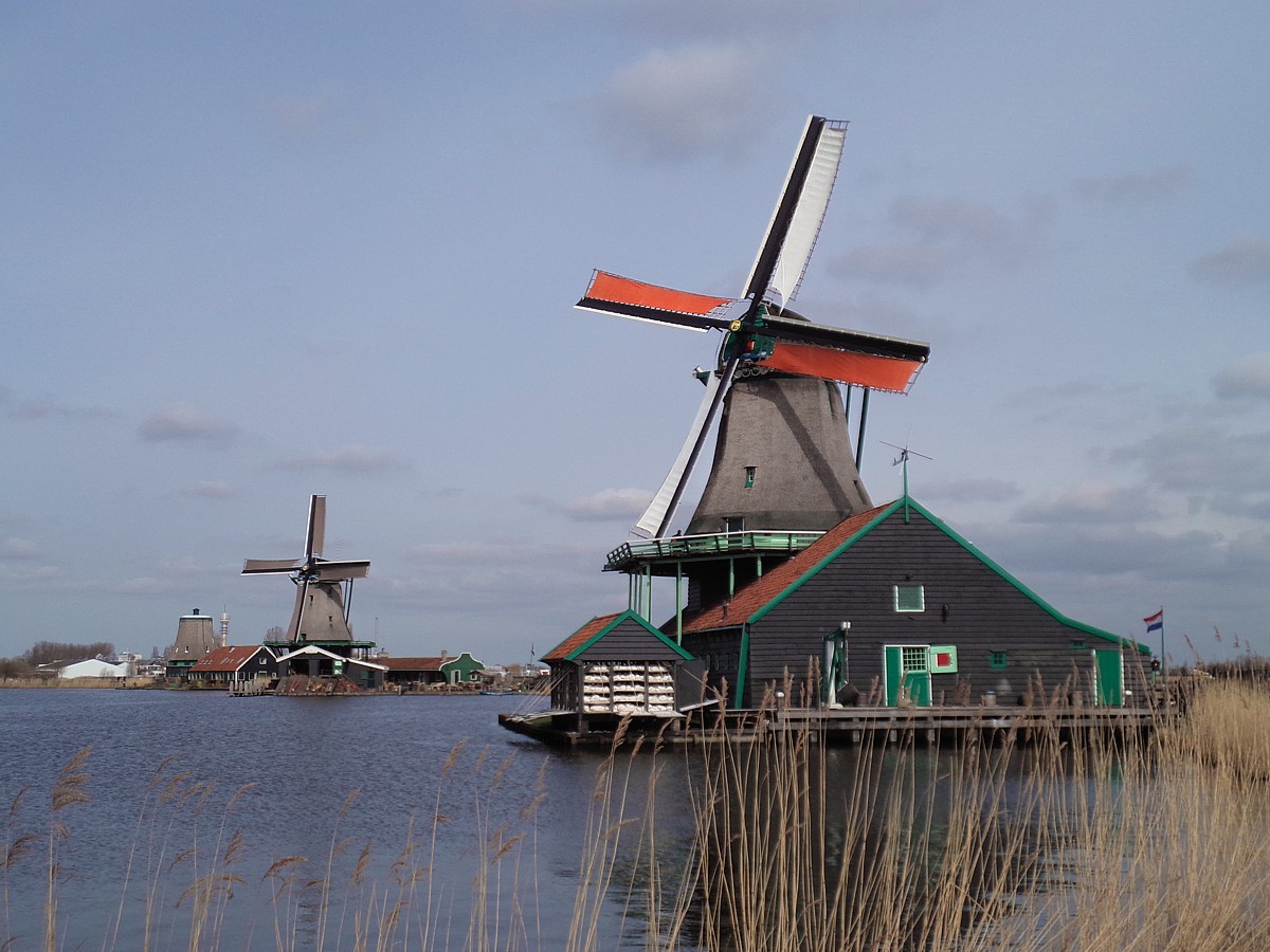 Skansen wiatraków
Amsterdam
Holandia 2015
Słowa kluczowe: NL