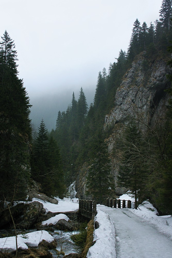 Dolina Kościeliska
Tatry 2013
