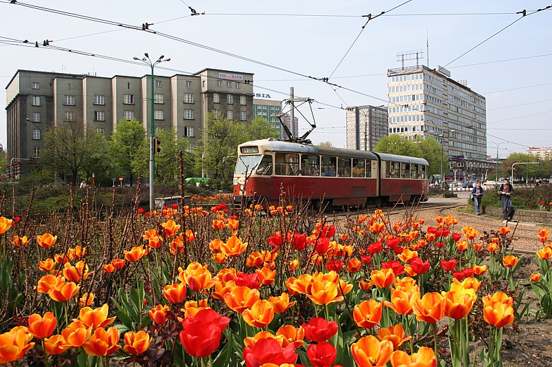Katowice wiosennie
Słowa kluczowe: budynek,kwiat,czerwony