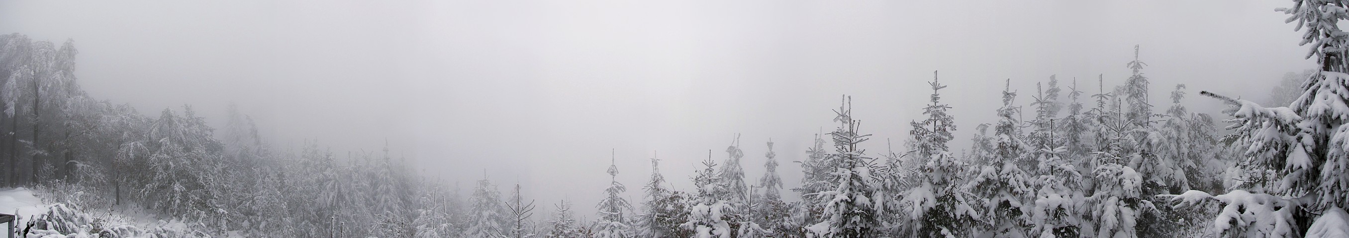 Hrobacza Łąka - Beskidy 2009
Panorama: widok ...wszystko jedno w którą stronę.
Wszędzie taka sama mgła :)
[i]Photo by G.W.[/i]
Słowa kluczowe: panorama,góry,zima