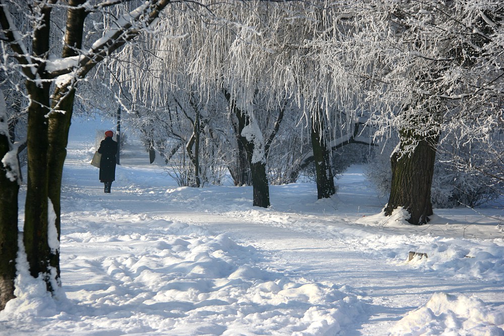 Zima w parku
Słowa kluczowe: zima